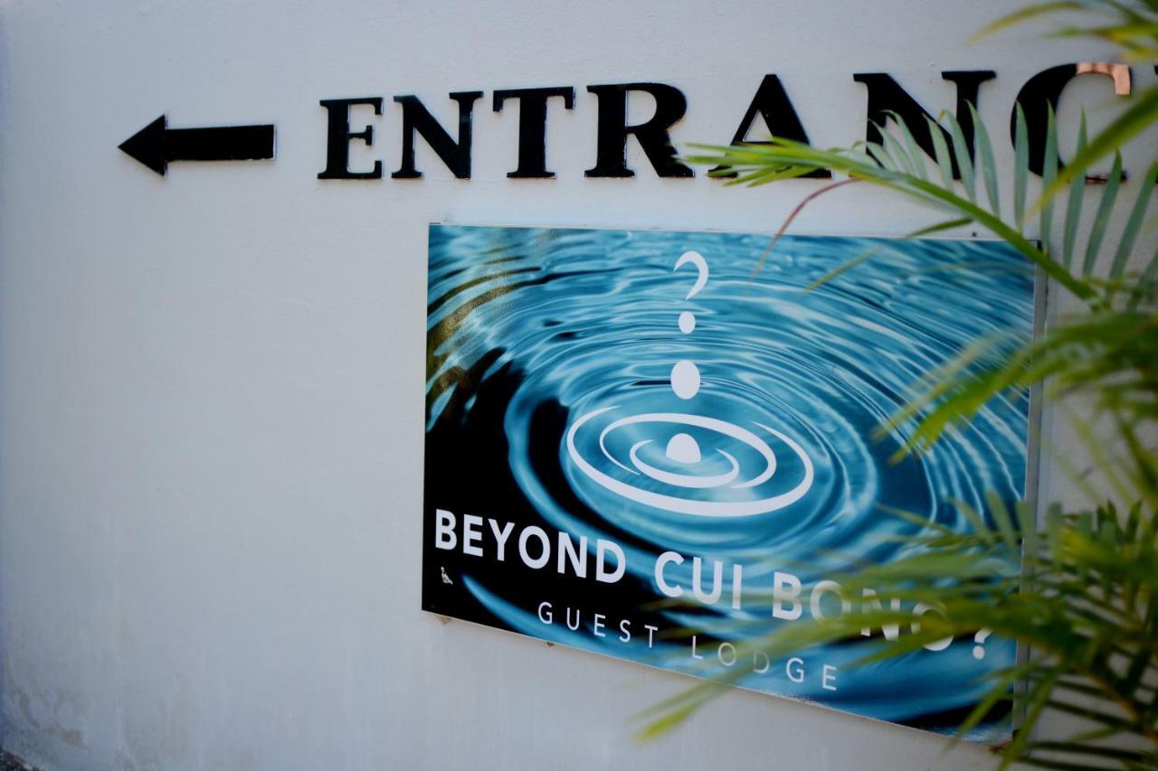 Beyond Cui Bono Guesthouse Addo Kültér fotó